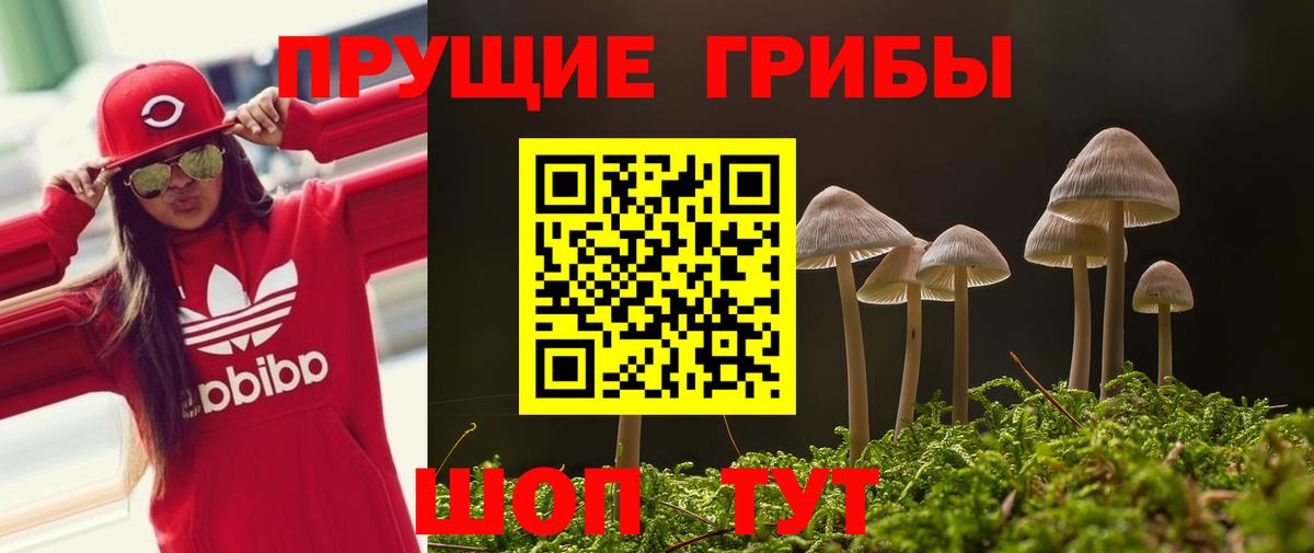 Галлюциногенные грибы мухоморы  Галлюциногенные грибы Magic Shrooms  Алексеевка  Вход с VPN 